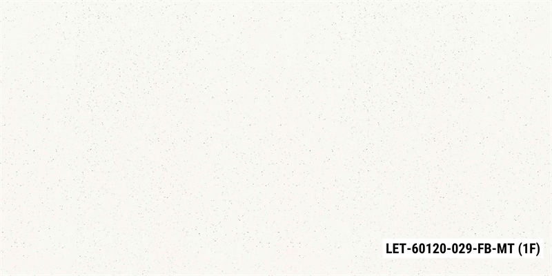 LET-60120-029-FB-MT